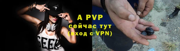 ПСИЛОЦИБИНОВЫЕ ГРИБЫ Козельск