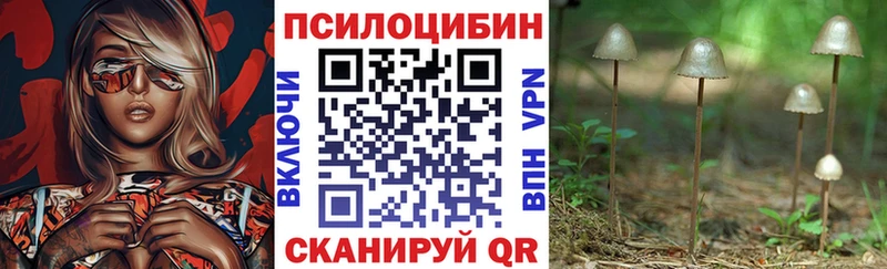 ссылка на мегу зеркало  Катайск  Галлюциногенные грибы мицелий  где найти наркотики 